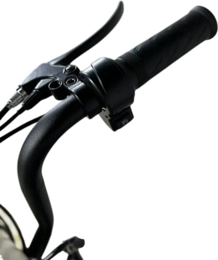 Електроскутер IDemo Junior E-Motion Simple PRO (500W, 48V 15Ah LiFePO4, NFC, Круїз-контроль) Зелений