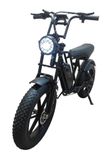 Електровелосипед фет байк E-Kam  20" 1000W 19Ah PAS Чорний 
